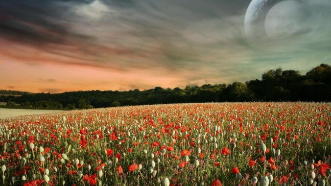 ***如你财务自由，是买一个大平层还是买一个大别墅？